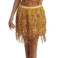 thumbnail image 2 of Teissuly Women's Sexy Hip Scarf Sequined Tassel Waist Scarf Adult Female Belly Dance Dress Waist Chain Skirt, 2 of 4