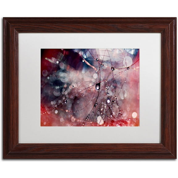 Trademark Fine Art "Outside the Box" Canvas Art by Beata Czyzowska Young, White Matte, Wood Frame