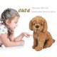 thumbnail image 2 of Realistic Plush Toy Dog Labradoodle Plush Stuffed Animal Toy For Kids, 2 of 4