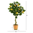 thumbnail image 2 of Nearly Natural 28" Lemon Artificial Tree in Decorative Planter, 2 of 4