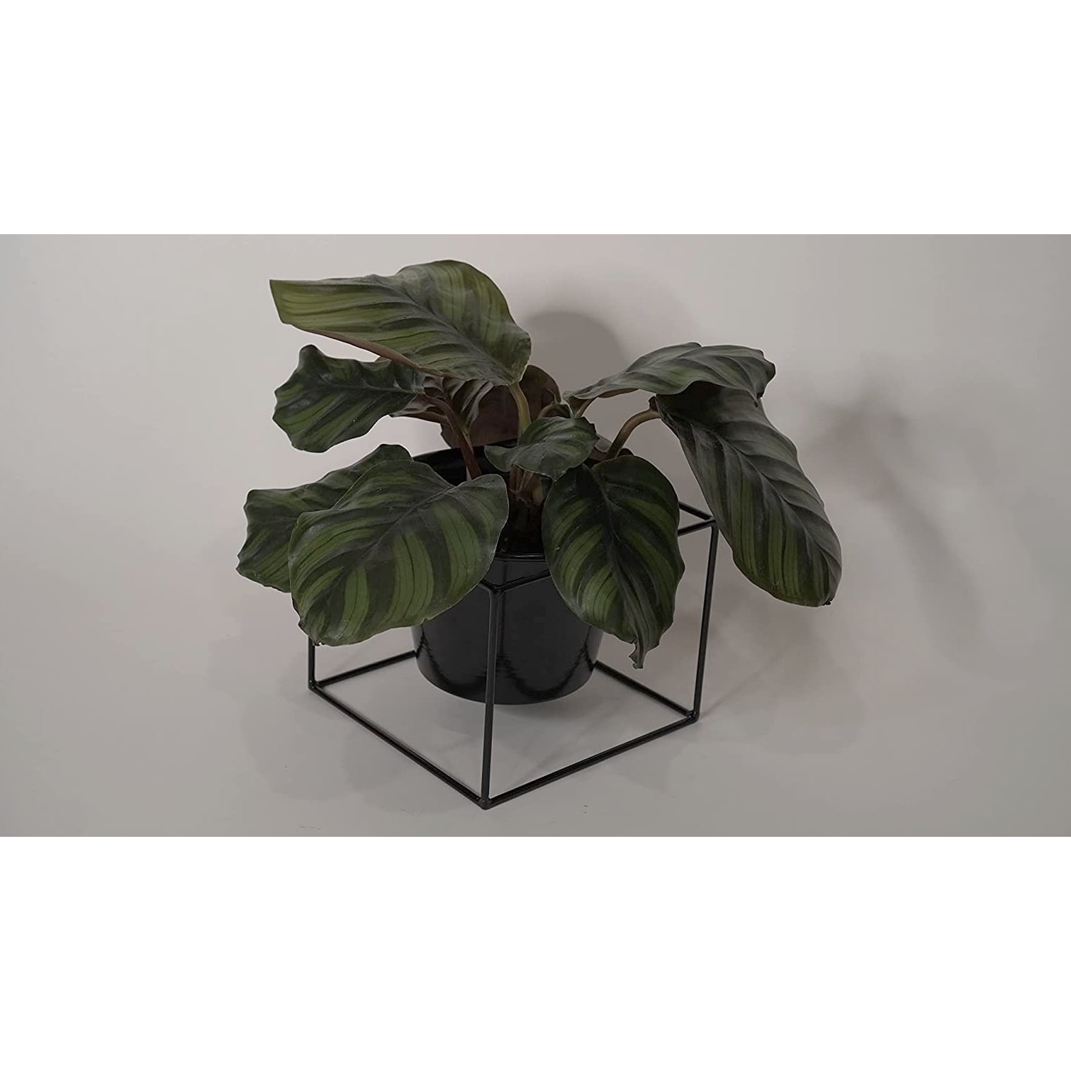 Metal Square 6" Home Garden Flower Plant Holder Removable Pot Stand Black