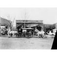 thumbnail image 2 of Horses And Carriages In Front Of Funeral Home Of C.W. Franklin History (24 x 18), 2 of 2