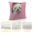 thumbnail image 4 of Orinice Dog Theme Decorative Throw Pillow Cover for Home Couch Living Room Bed Sofa Square 1PC Zipper Closure 12x12in, 4 of 5
