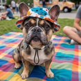 thumbnail image 5 of Pet Sun Hat with Ear Holes Adjustable Chin Strap Breathable Outdoor Headwear for Cats and Small Dogs Summer Travel 16.5 Inch, 5 of 7