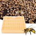 thumbnail image 3 of Non-Toxic Plastic Queen Bee Rearing System Kit with Graft-Free Cell Cups, 110-Piece Cups, Rearing Box, Queen Cages, Marker Bottle & Bee Move Tool – Essential Reusable Beekeeping Equipment for, 3 of 6