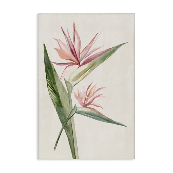 Stupell Industries Tropical Grace Birds of Paradise Canvas Wall Art, design by Hannah Dawson, 45 x 30