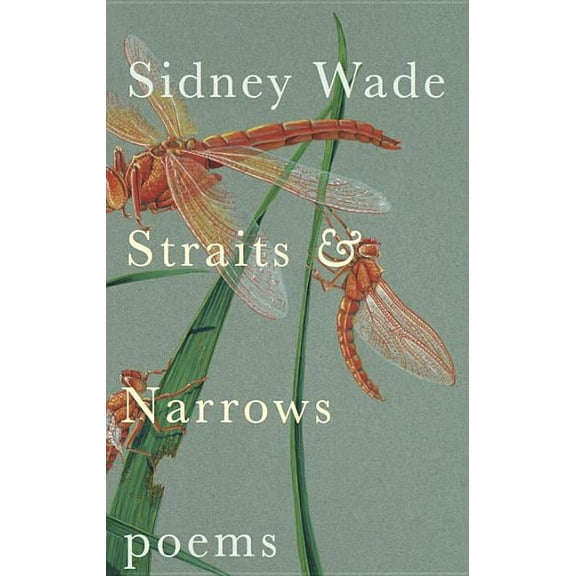 Straits & Narrows (Paperback)