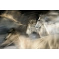 thumbnail image 2 of Malovrh, Milan 18x13 Gold Ornate Wood Framed with Double Matting Museum Art Print Titled - In Motion, 2 of 4