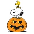 thumbnail image 2 of CafePress - Snoopy And Woodstock Halloween - 11 oz Ceramic Mug - Novelty Coffee Tea Cup, 2 of 4