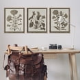 thumbnail image 3 of Stupell Industries Vintage Country Botanicals Plants & Flowers Painting Brown Floater Framed Canvas Art Print Wall Art, 25 x 31, Set of 3, 3 of 10