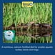 thumbnail image 5 of Palitos flotantes Tetra ReptoMin Baby Fish Food, 26 g (paquete de 2), 5 of 8