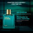 thumbnail image 3 of Wild Stone Edge Eau de Parfum 100 ml para hombre, de larga duración, 3 of 8