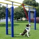 thumbnail image 3 of Juguete Para Perros En Fase De Dentición, Juguete Con Cuerda Para Tirar, Juego De Tira Y Afloja, Juguete Para Perros, Apto Para Perros Y Gatos, Juguetes Para Masticar, 3 of 8