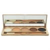 Daytime Eye Shadow Kit by Jane Iredale for Women - 1 Pc Palette