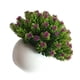 thumbnail image 4 of Planta artificial en maceta de plástico falso maceta de simulación de mesa Bonsai decoración del hogar Vogacara HA8763-00B, 4 of 6