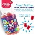 thumbnail image 6 of Fiber Gummies for Kids 4g, Safe Daily Fiber Gummy Supplement for Kids - Soluble Inulin Prebiotic Gummy for Digestive Health Support - Nature's Plant-Based Regularity & Digestion Support - 120 Gummies, 6 of 10