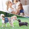 thumbnail image 6 of Langsprit Male Belly Bands for Dogs (Pack of 3) - High Absorbing Dog Wraps Male Washable - Reusable Male Dog Diapers,Black,S, 6 of 7