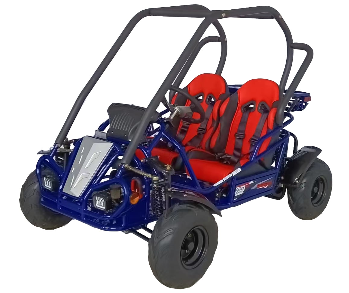 HHH Limited Edition 125cc Go Kart GKT125-9 Big Gokart with 3 Speed, 2 Seats, Large Size Kart for Youth (Factory Packaged) (Orange)