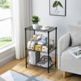 Basics 3Shelf Adjustable, Heavy Duty Storage Shelving Unit (180 lbs