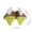 Green, variant on Bwiyojiz Home, Garden & Tools Dining Entertaining Kitchen Watermelon Ice Popsicle Moulds with Handles Reusable Easy to Demould Drip-Proof Homemade Cream DIY Good Fruit, Gifts for Friend, Orange