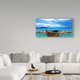 thumbnail image 3 of Trademark Fine Art 'Nature Collection 25' Canvas Art by Ata Alishahi, 3 of 3