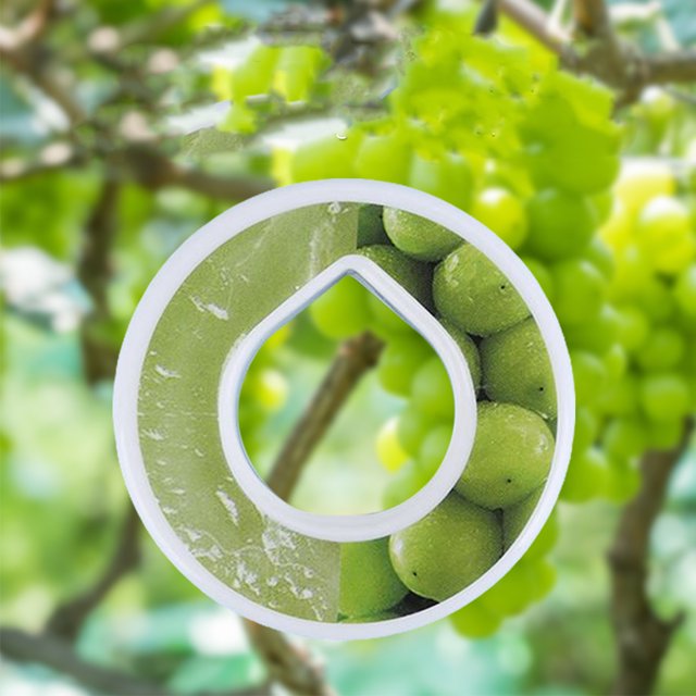 Termos para agua Cápsula de sabor de Cápsulas de sabor de aire creativo con fragancia (uva)