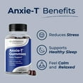thumbnail image 3 of Anxie-T - Stress Relief Gummy - Vitamin Supplement for Mood & Mental Focus Support - Feel Calm and Relaxed - Rapidly Eases Tension - Ashwagandha, GABA & L-Theanine - 90 Gummies, 3 of 6