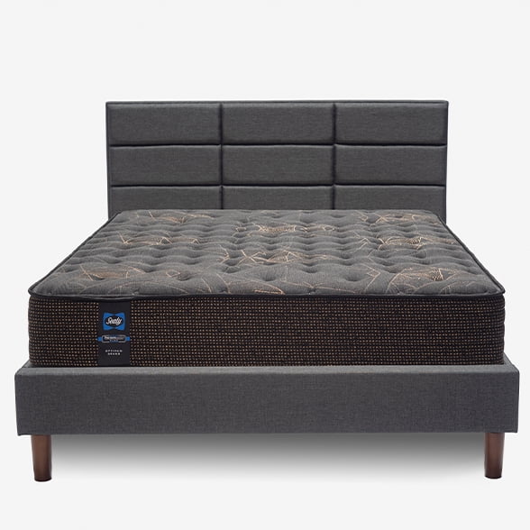 Sealy posturepedic gleam discount
