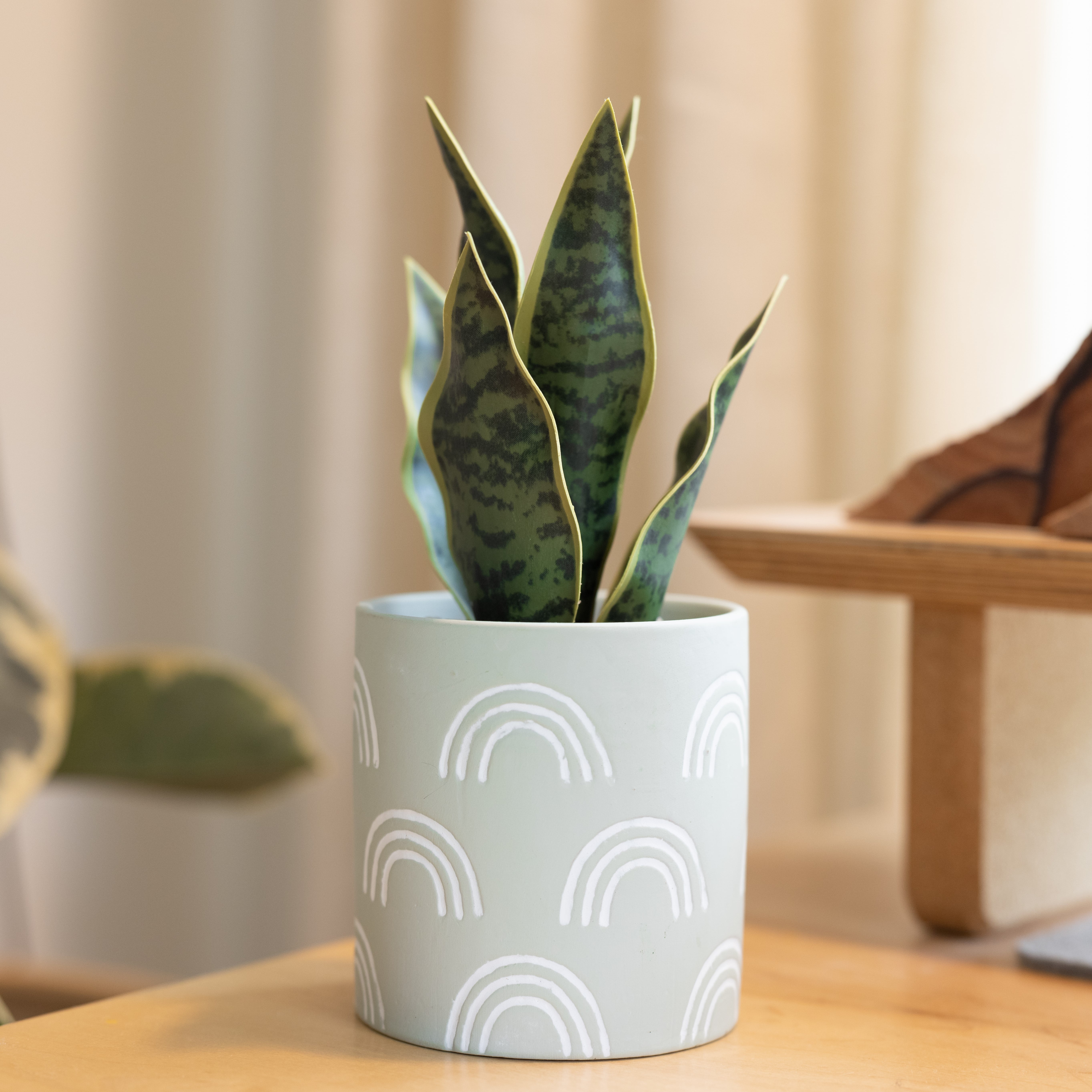 Mainstays 4 in Tabletop Artificial Snake Plant in Rainbow Print Terracotta Pot, Sage