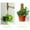 40cm, variant on opvise Plant Support Pole Stackable Durable Wooden Coir Moss Totem Pole for Indoor Plant 50cm