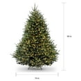 thumbnail image 2 of 7.5 ft. Natural Fraser Fir Tree with Clear Lights, 2 of 2
