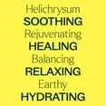 thumbnail image 4 of Plant Therapy Essential Oils Helichrysum Organic Hydrosol 4 oz, 4 of 8
