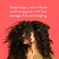 thumbnail image 4 of Native Sulfate Free Shampoo, Berries and Vanilla, Strengthening for Women and Men, 16.5 fl oz, 4 of 12
