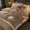 Light Brown, variant on TOPCHANCES Duvet Cover Set, Soft Velvet Bedding Set with One Pillowcase for Twin Size Bed, 67*89 inch (Pink)