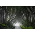 thumbnail image 2 of Molteni, Nicola 18x13 White Modern Wood Framed Museum Art Print Titled - Dark Hedges, 2 of 4