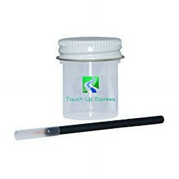 Touch Up Express Paint for Toyota FJ Cruiser 211 Black Diamond Mica 2 oz Touch Up Paint for Car Auto Truck