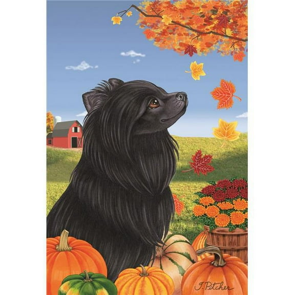 Best of Breed TP672551 Pomeranian Black Autumn Leaves Garden Flag