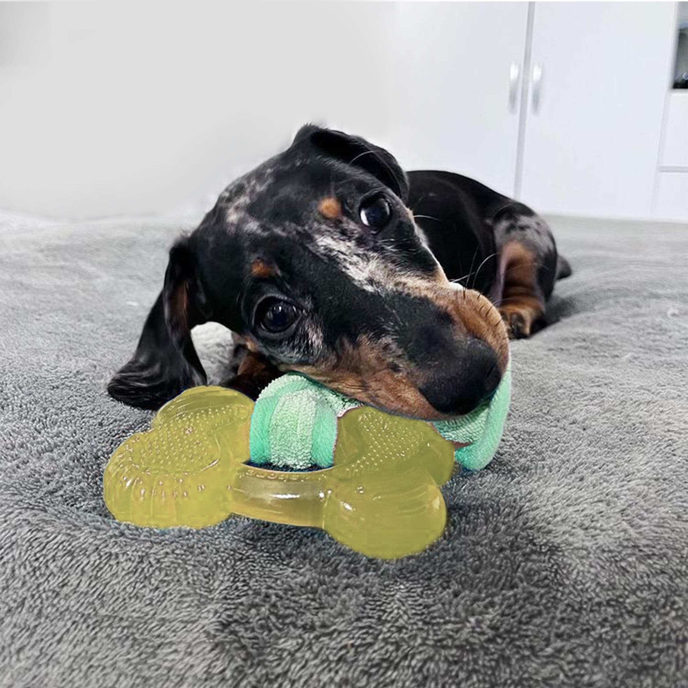 Nylabone Puppy Chew 2-in-1 Teething Freezer Bone Cloth Chew Toy Bacon Yellow Small (1 Count)