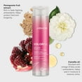 thumbnail image 3 of Joico Colorful Anti-Fade Shampoo 10.1 oz, 3 of 5