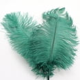 thumbnail image 1 of ¡Liquidación de flores artificiales! Plumas de avestruz de 30-35 cm, decoración de plumas de colores, 50 unidades, verde oscuro. ¡Oferta relámpago!, 1 of 7