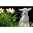 thumbnail image 2 of CafePress - EASTER LAMB AND FLOWERS 2 - Sled Ornament, 2 of 4