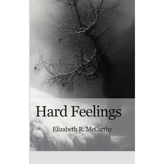 Hard Feelings (Paperback)