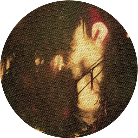 Ahgly Company Machine Washable Indoor Round Transitional Saddle Brown Area Rugs, 5' Round