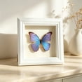 thumbnail image 2 of Feledorashia Shadow Box Frame, Specimen Display Frame, Deep Hollow Display for Dried Flowers Keepsakes Photos and Crafts, MDF Frame with Clear Glass Window Back Support and Layered Border, 2 of 6