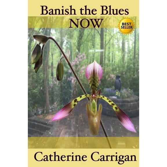 Banish the Blues NOW (Paperback)