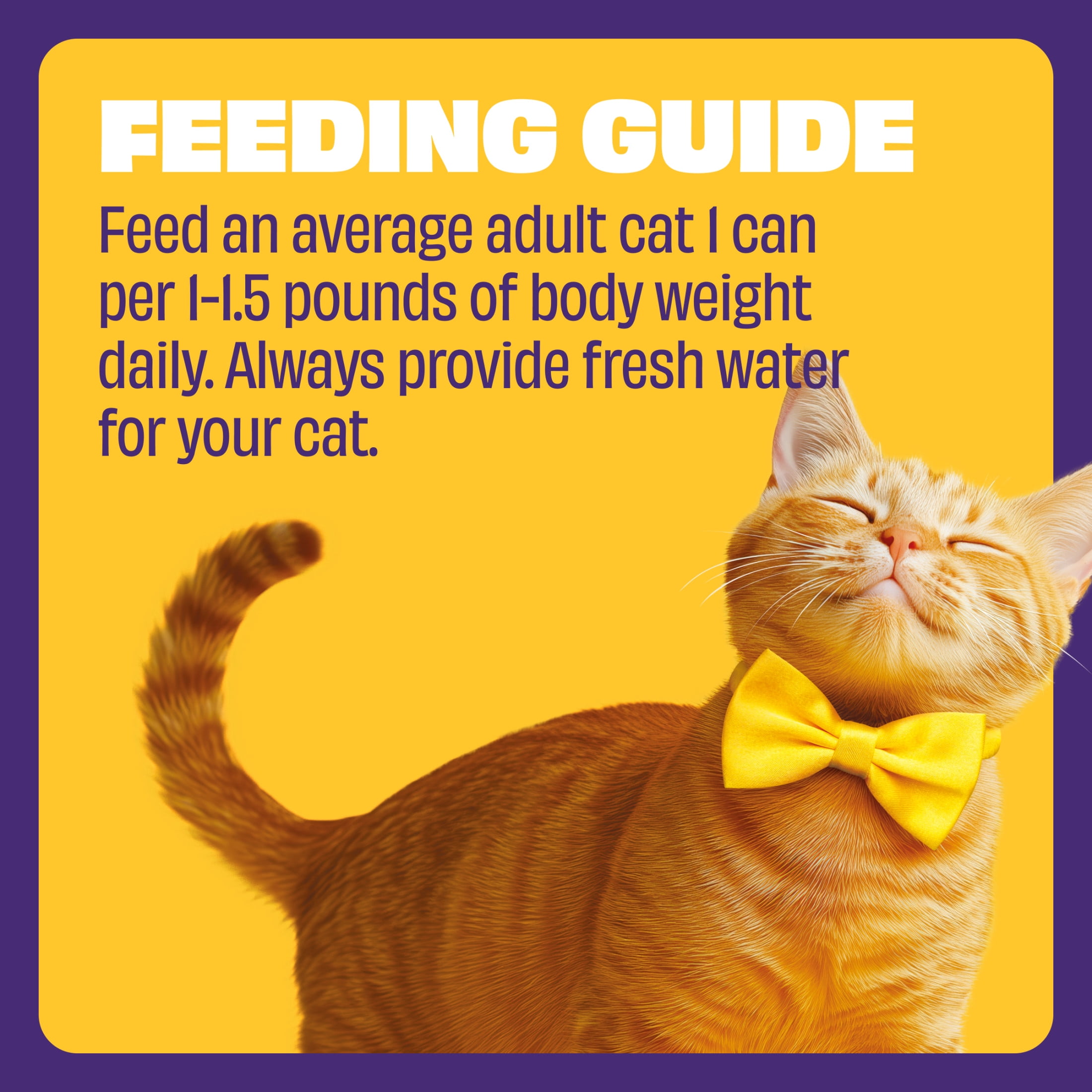Mr Purrs Grilled Seafood in Gravy Wet Cat Food 3 oz Can 30 Pack