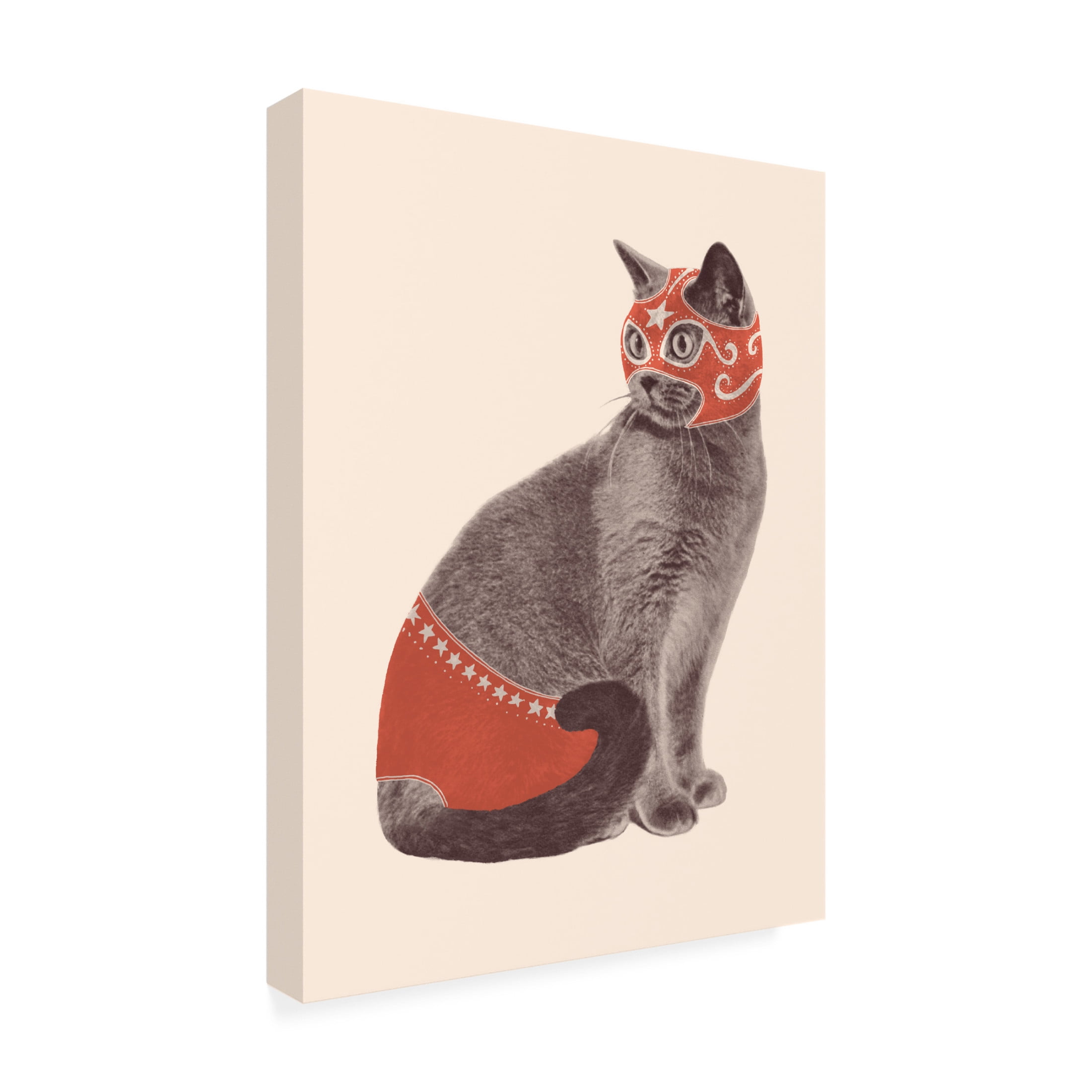 Trademark Fine Art Florent Bodart  Chat Catcheur Canvas Wall Art
