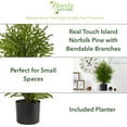 thumbnail image 4 of Nearly Natural 2' Norfolk Island Christmas Pine Artificial Tree in Decorative Planter, 4 of 4