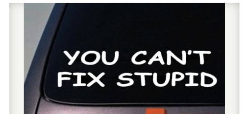 YOU CAN'T FIX STUPID  8 INCH VINYL DECAL/STICKER 