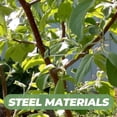 thumbnail image 4 of unbranded 20Ud Soporte Para Ramas De Plantas Y Árboles Con Ligero Y Resistente Para Uso En Exteriores, 4 of 7
